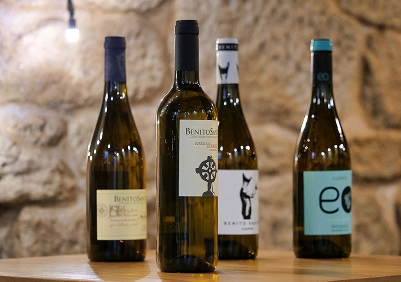 Vinos Bodegas Benito Santos